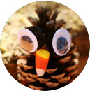 сова их шишки